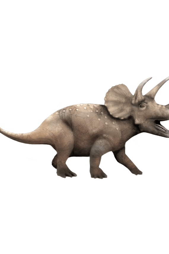 SILITYSKUVA DINO 16x9cm harmaa